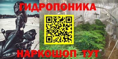 ГАЛЛЮЦИНОГЕННЫЕ ГРИБЫ Конаково