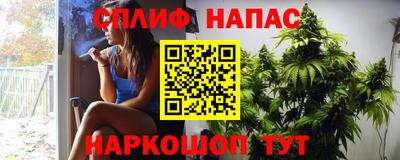 сатива Коммунар