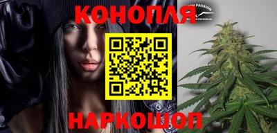 сатива Коммунар