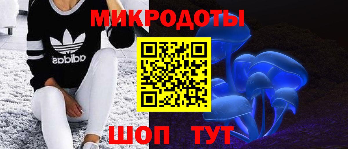 Псилоцибиновые грибы мицелий Корсаков