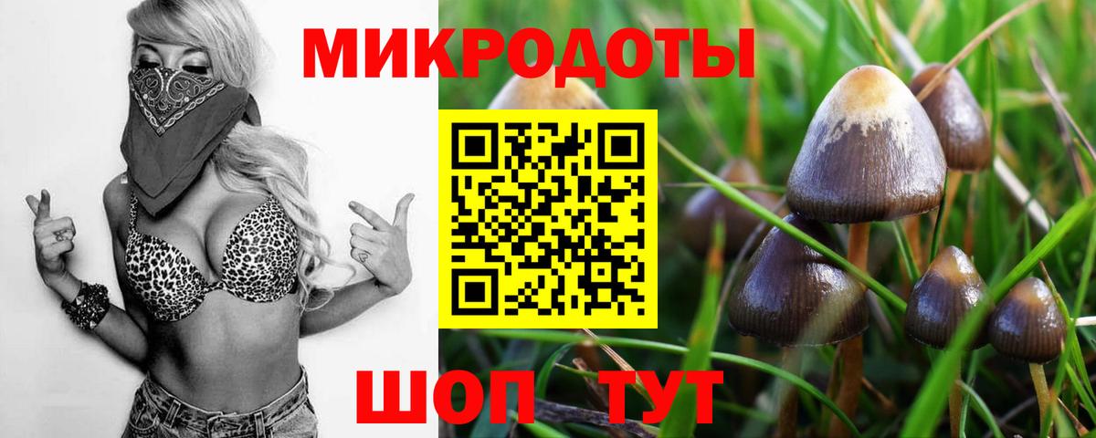 Галлюциногенные грибы мицелий  Галлюциногенные грибы Psilocybine cubensis  Вход с VPN  Корсаков 